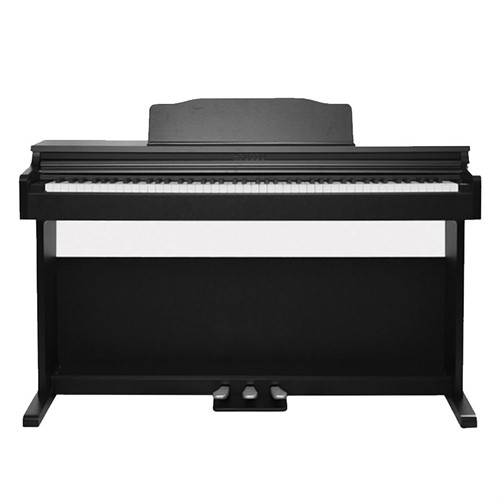 Đàn Piano Điện Apollo DP66